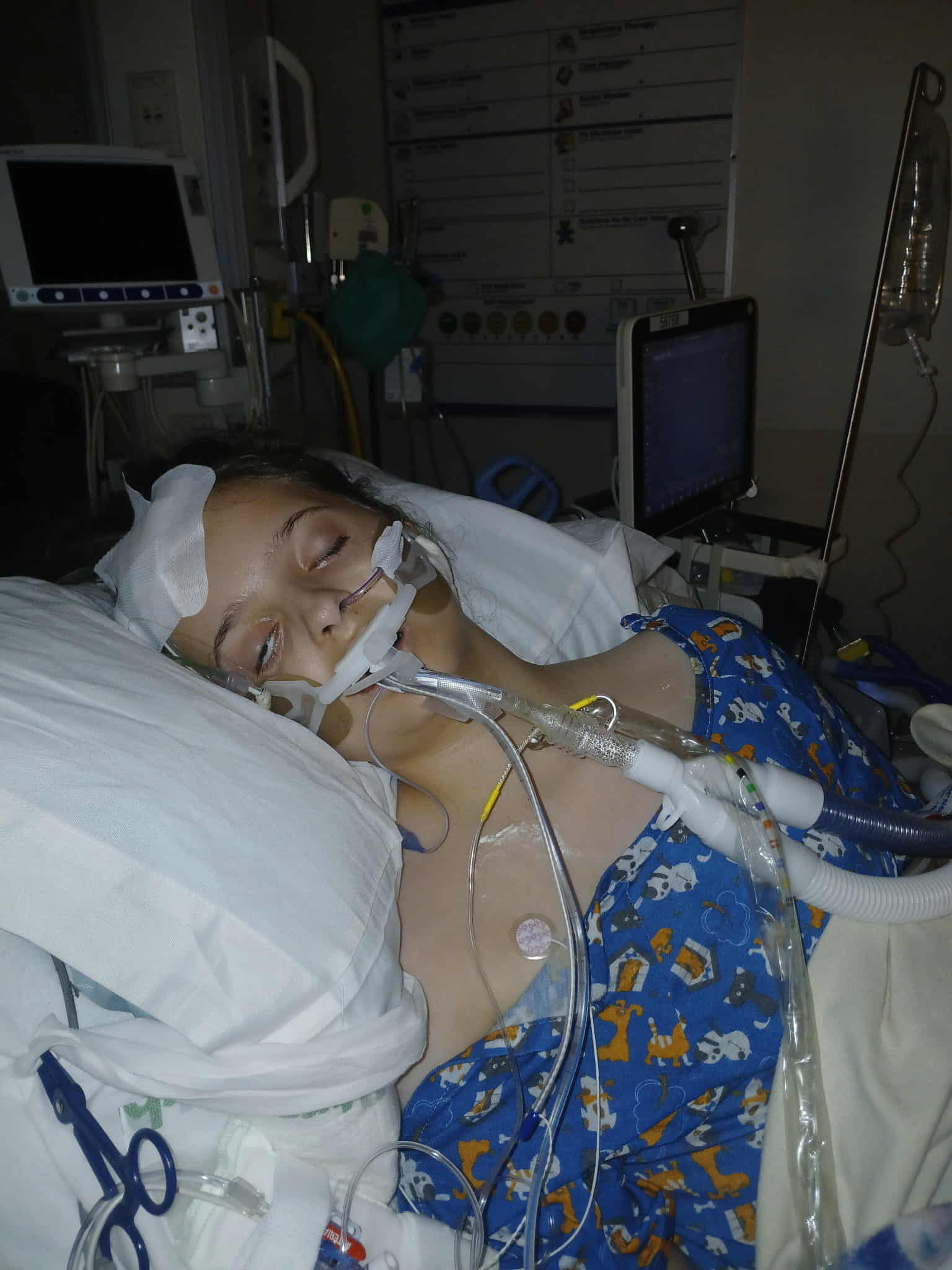 Gabby Fundraiser - Image 7