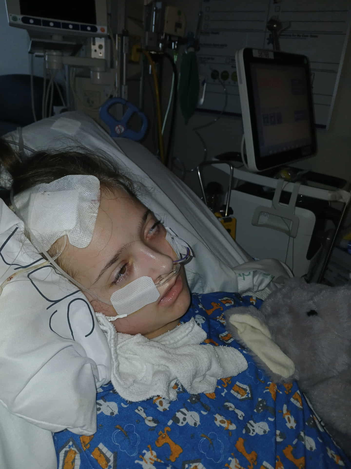 Gabby Fundraiser - Image 2